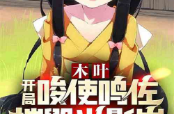 鸣佐小说,鸣佐羁绊的火影传奇