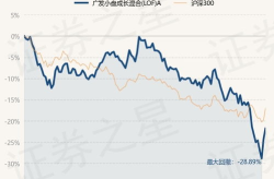 广发小盘成长基金净值,稳健增长背后的投资逻辑